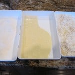 Flour/ Egg mixture/ Panko and coconut