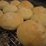 Fresh buns