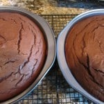 Hot out of the oven
