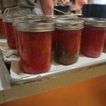 Canned tomatoes with basil