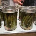 Canned green beans