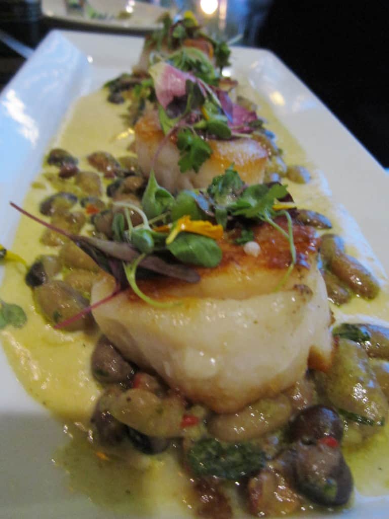 Scallops