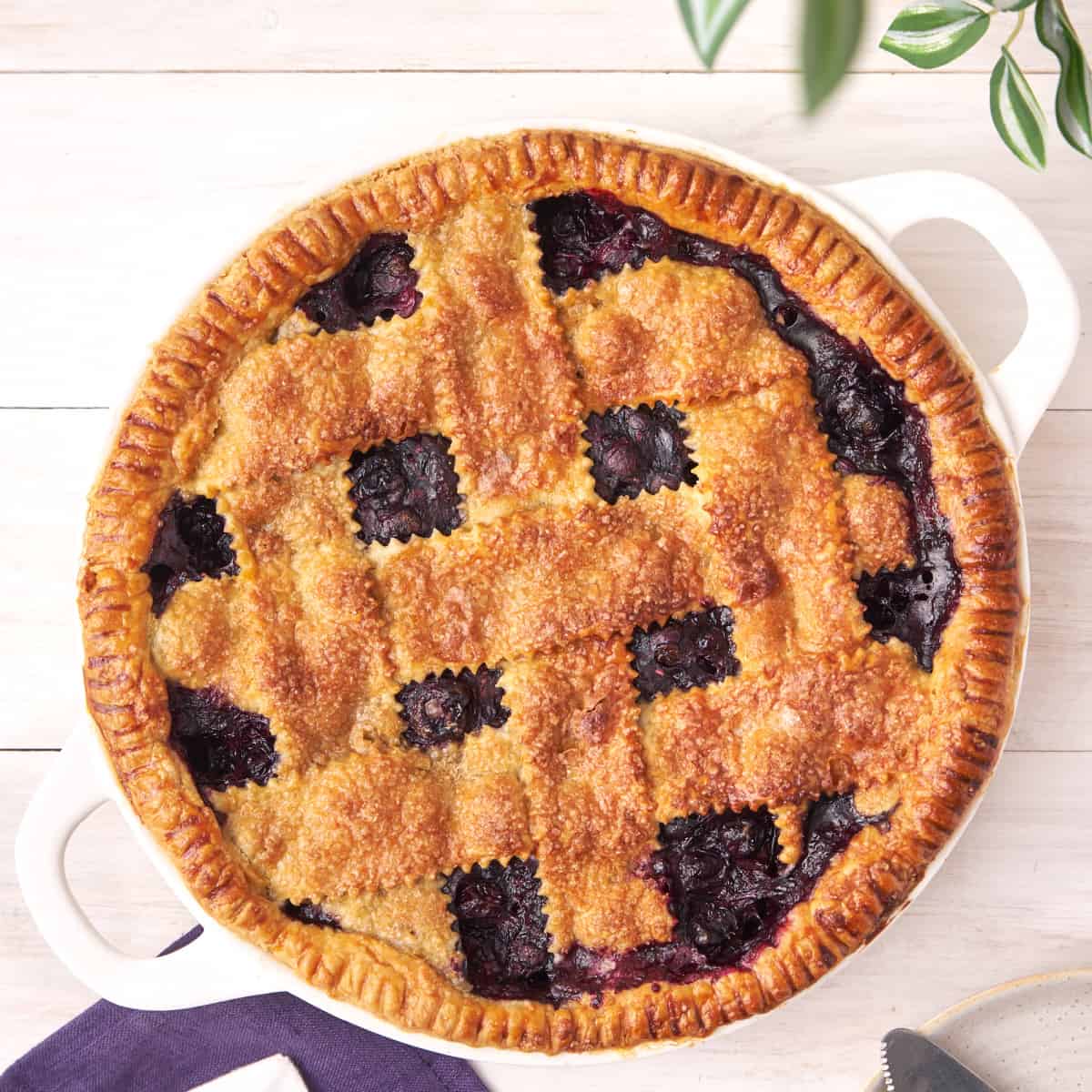 Easy Homemade Blueberry Pie - Noshing With the Nolands