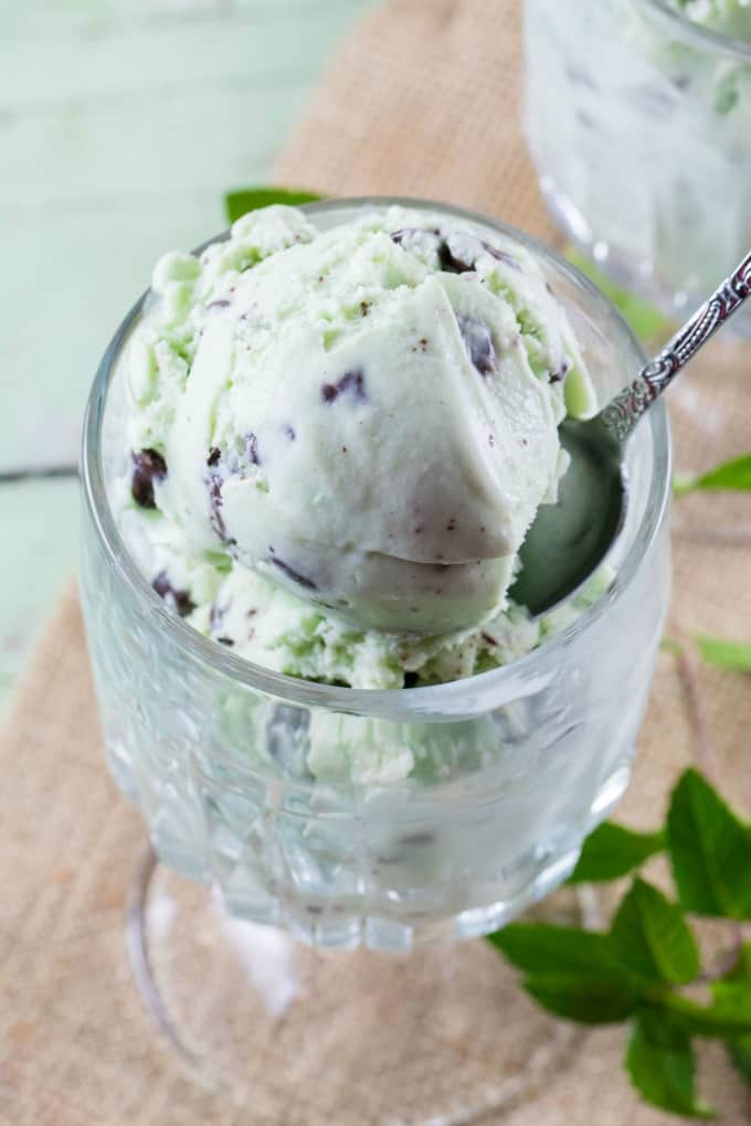 Homemade Mint Chocolate Chip Ice Cream