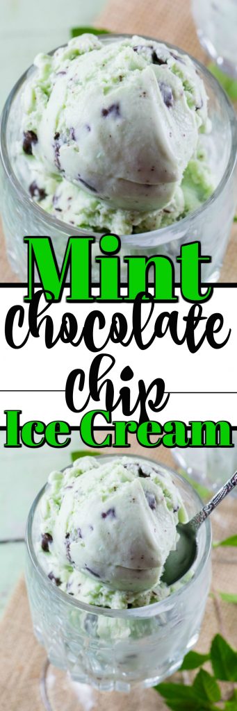 Mint Chocolate Chip Ice Cream - Noshing With the Nolands