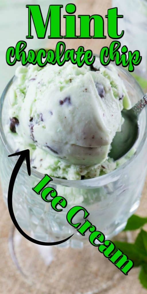 Mint Chocolate Chip Ice Cream - Noshing With the Nolands