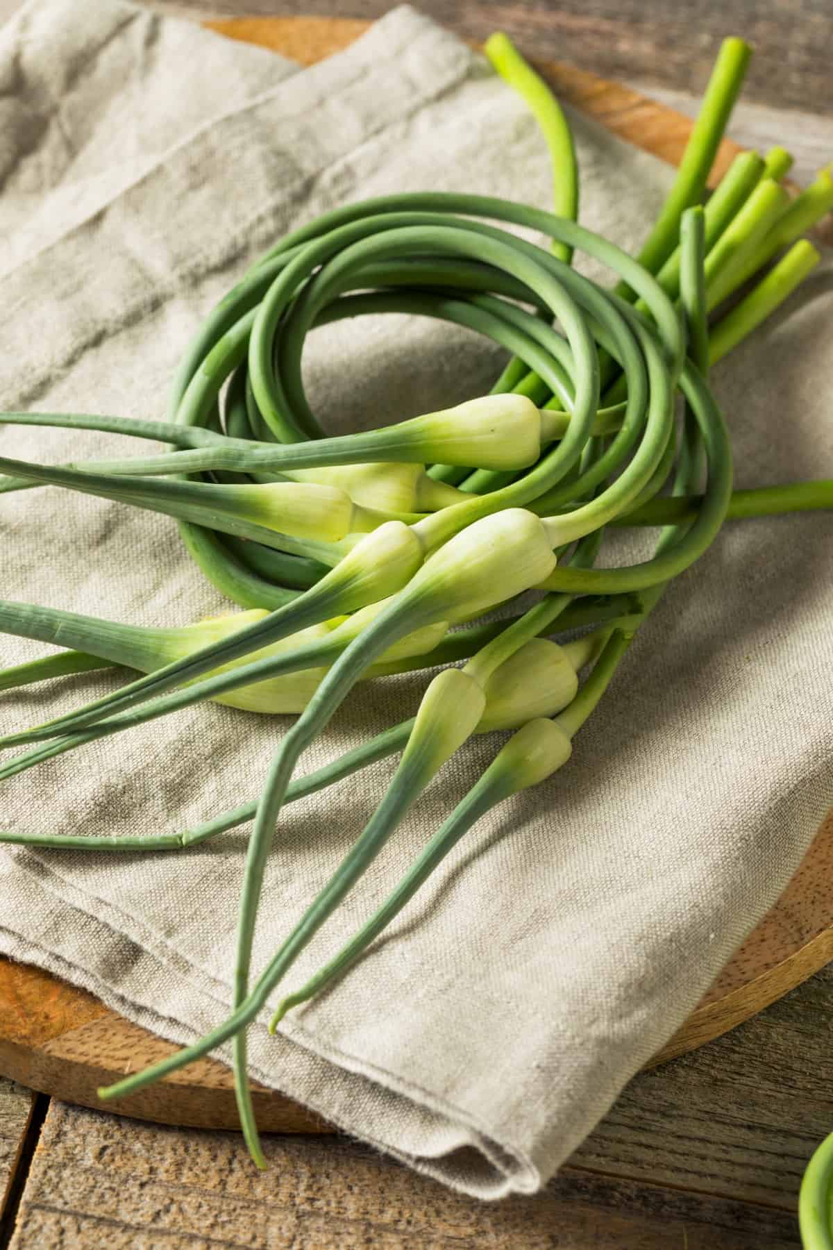 Raw Green Organic Garlic Scapes on a tea towel