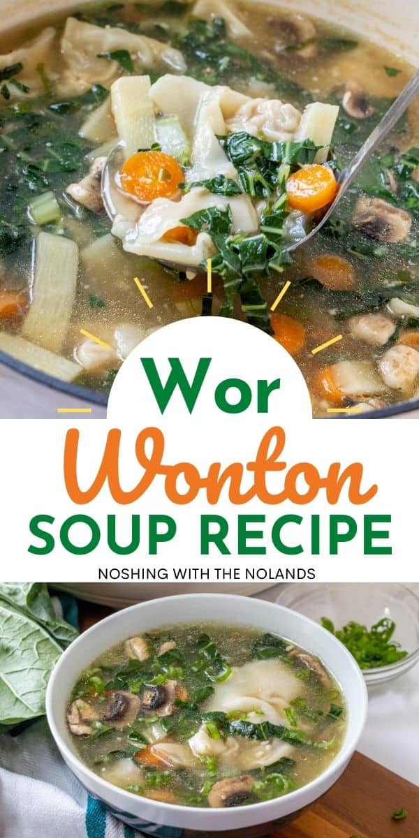 Wot Wonton Soup Pin