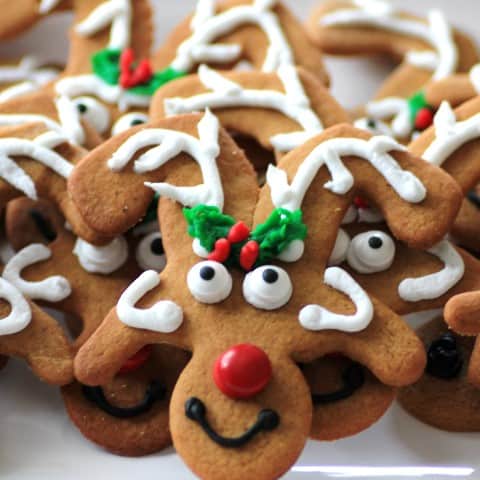 close up picture of Reindeer Cookies 