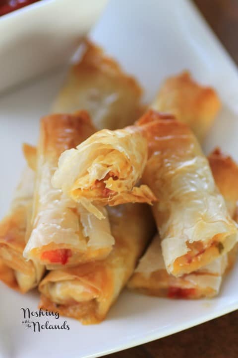 Close up of Italian Spring Rolls stacked on a white plate