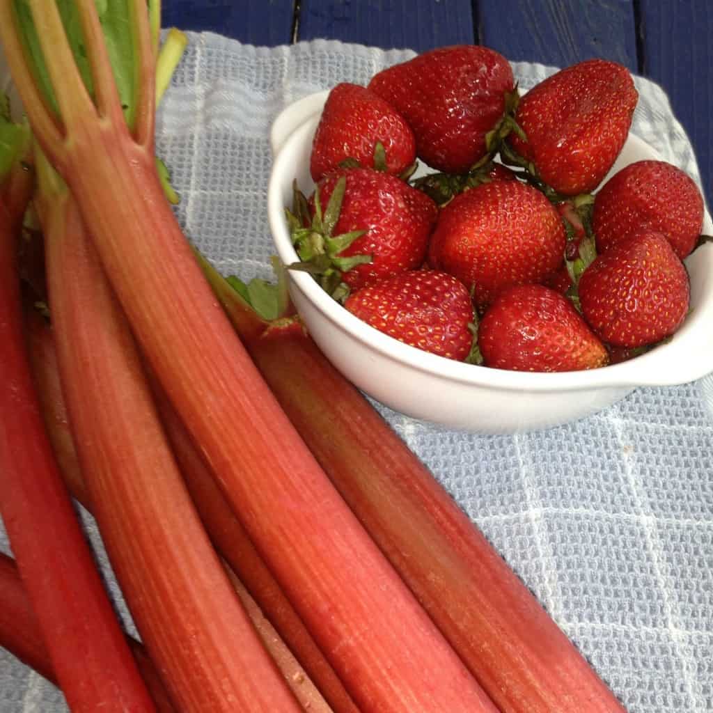 Rhubarb Strawberry Cake by Delaware Girl Eats