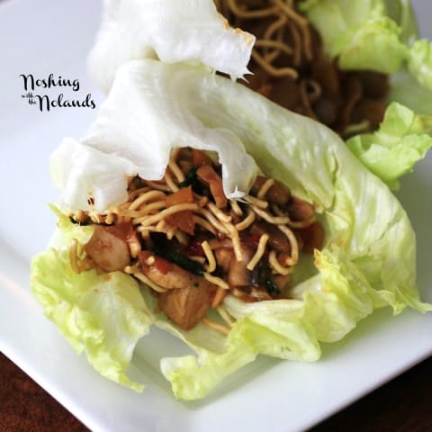 Asian Lettuce Wraps by Noshing With The Nolands