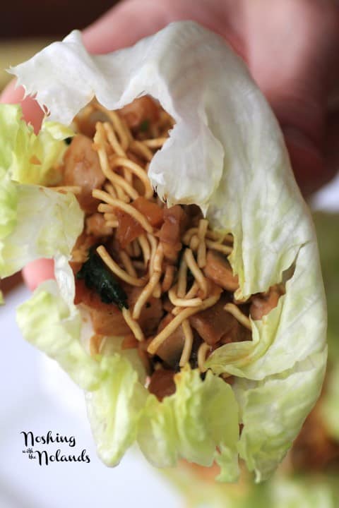 Asian Lettuce Wraps by Noshing With The Nolands 