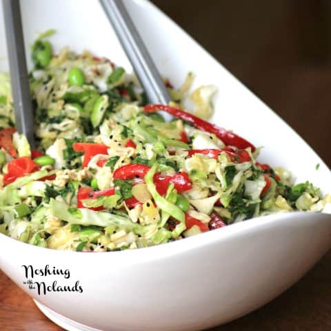 Japanese Noodle Salad by Noshing With The Nolands 