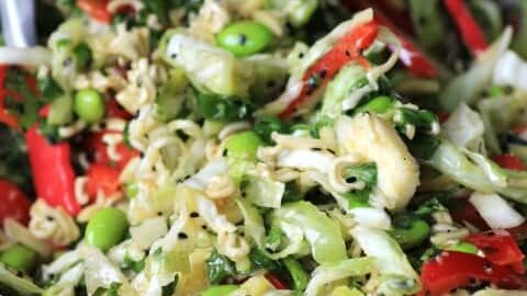 Japanese Noodle Salad for Picnic #SundaySupper