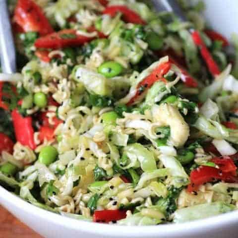 Japanese Noodle Salad for Picnic #SundaySupper