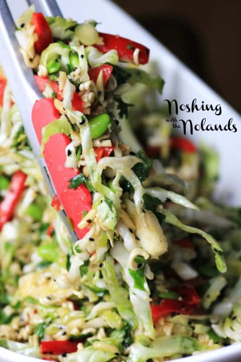 Japanese Noodle Salad by Noshing With The Nolands 