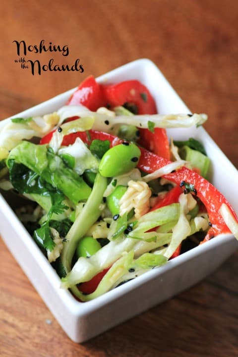 Japanese Noodle Salad by Noshing With The Nolands 