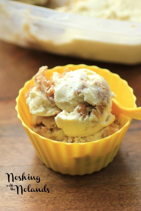 Apple Cinnamon Ice Cream by Noshing With The Nolands 