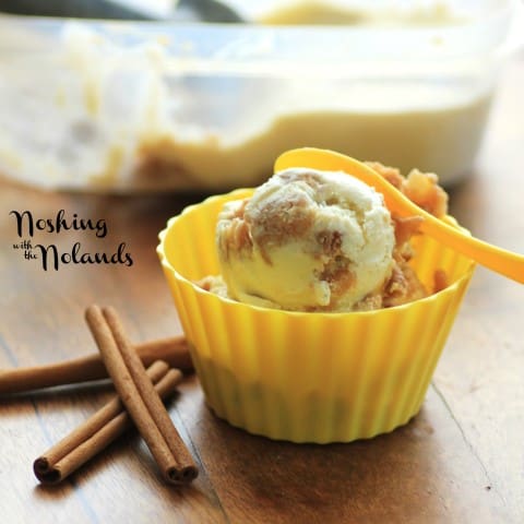 Apple Cinnamon Ice Cream by Noshing With The Nolands