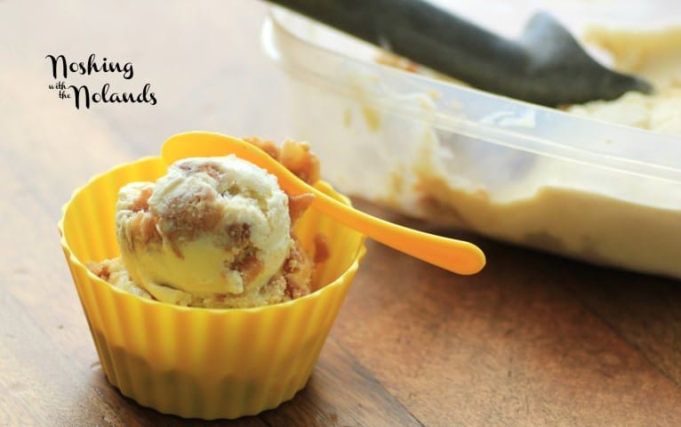 Apple Cinnamon Ice Cream by Noshing With The Nolands