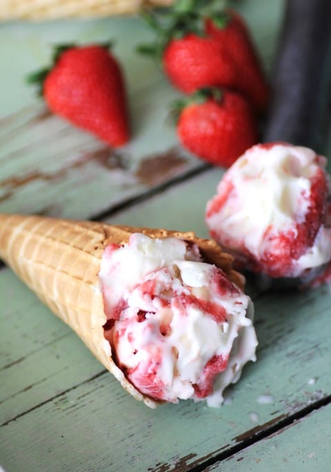 LeLemon-Berry-Ice-Cream-by-Noshing-With-The-Nolands