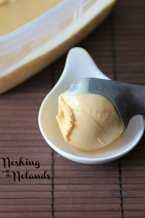 Salted Caramel Ice Cream by Noshing With The Nolands 