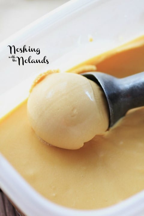 Salted Caramel Ice Cream by Noshing With The Nolands 