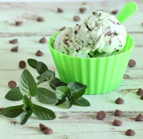 Mint Chocolate Chip Ice Cream by Noshing With The Nolands