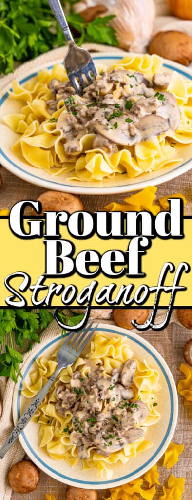 Ground Beef Stroganoff - Noshing With The Nolands