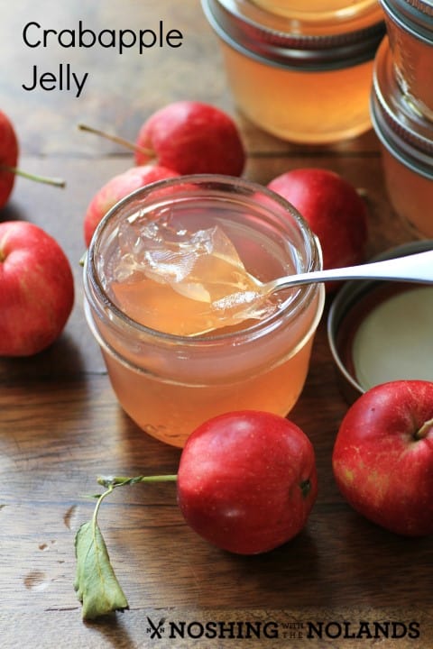 Crabapple Jelly by Noshing With The Nolands 