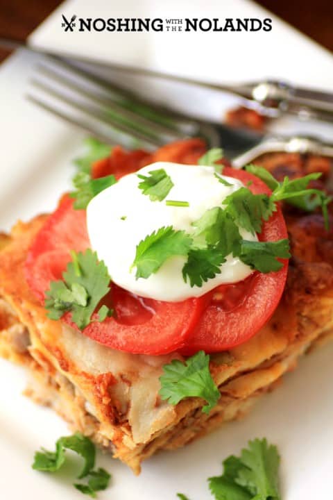 Leftover Turkey, Sausage Enchilada by Noshing With The Nolands