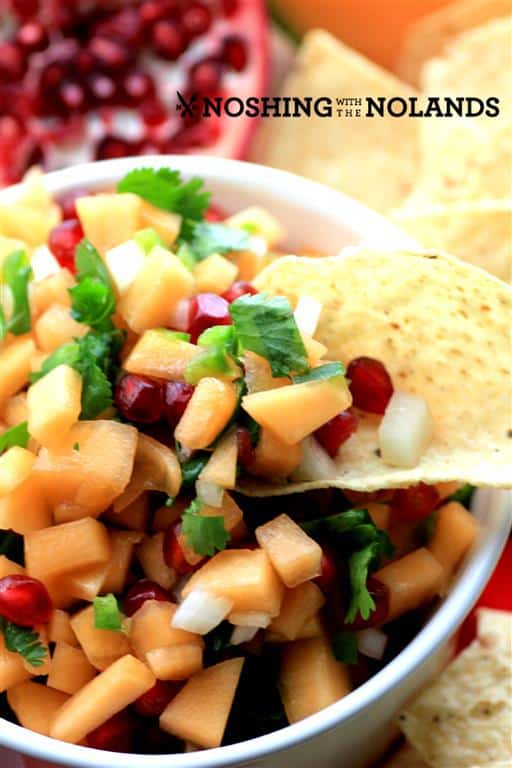 Cantaloupe Pomegranate Salsa by Noshing With The Nolands 