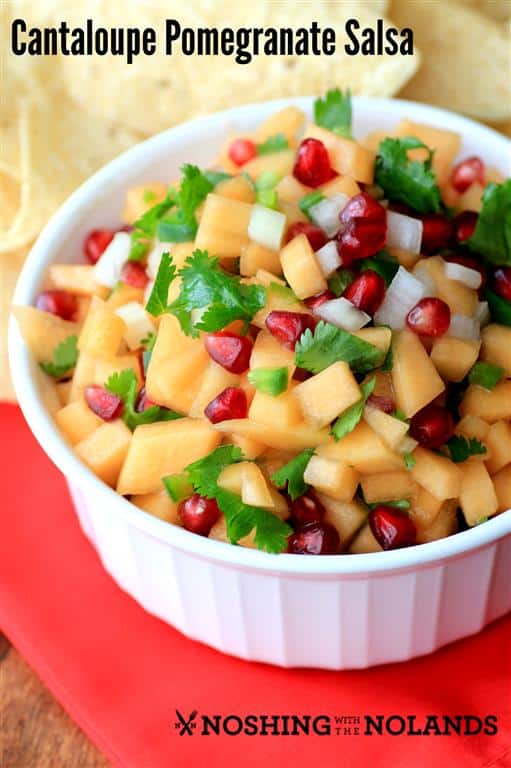 Cantaloupe Pomegranate Salsa by Noshing With The Nolands