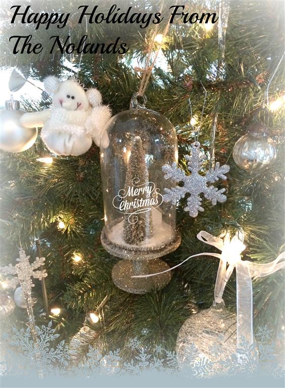 Happy Holidays From The Nolands (Medium)