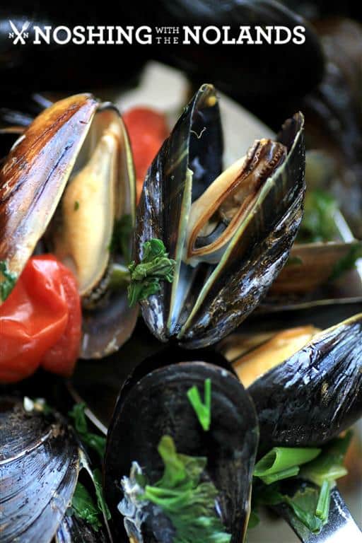 White Wine Garlic Mussels by Noshing With The Nolands 