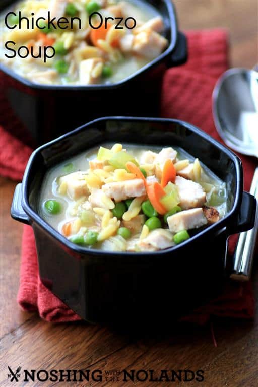 Chicken Orzo Soup by Noshing With The Nolands 