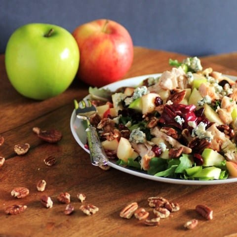 Copycat Wendy's Apple Pecan Chicken Salad by Noshing With The Nolands