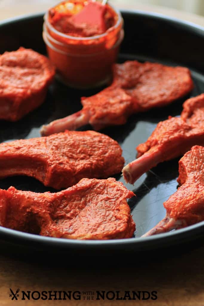 Mustard Harissa Lambsicles by Noshing With The Nolands 