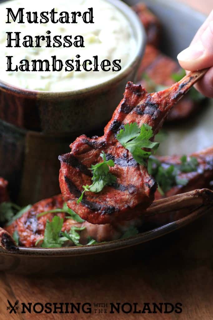 Mustard Harissa Lambsicles by Noshing With The Nolands 