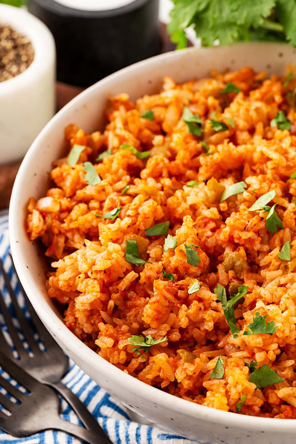 Rice in a bowl. 