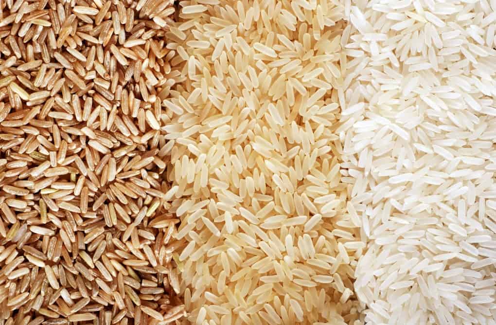 Food background with three rows of rice varieties : brown rice, mixed wild rice, white (jasmine) rice.