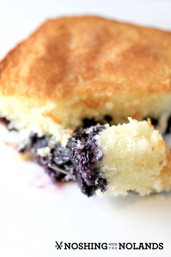 Blueberry Breakfast Cake by Noshing With The Nolands (3)