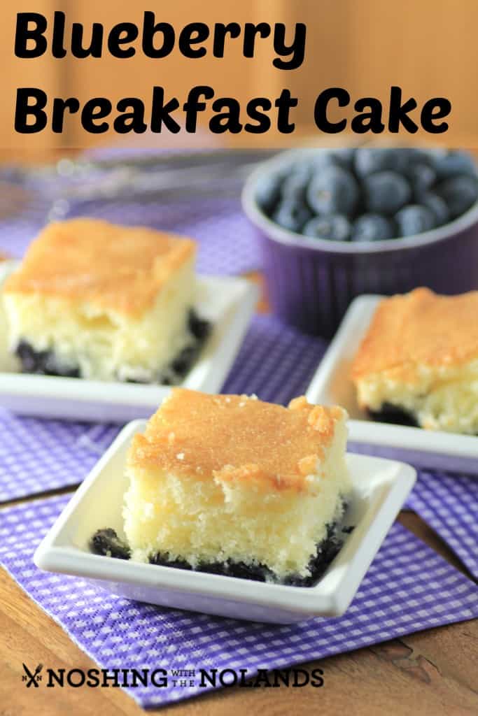 Blueberry Breakfast Cake by Noshing With The Nolands