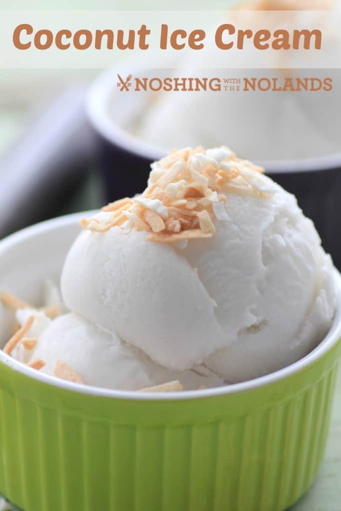 Coconut Ice Cream