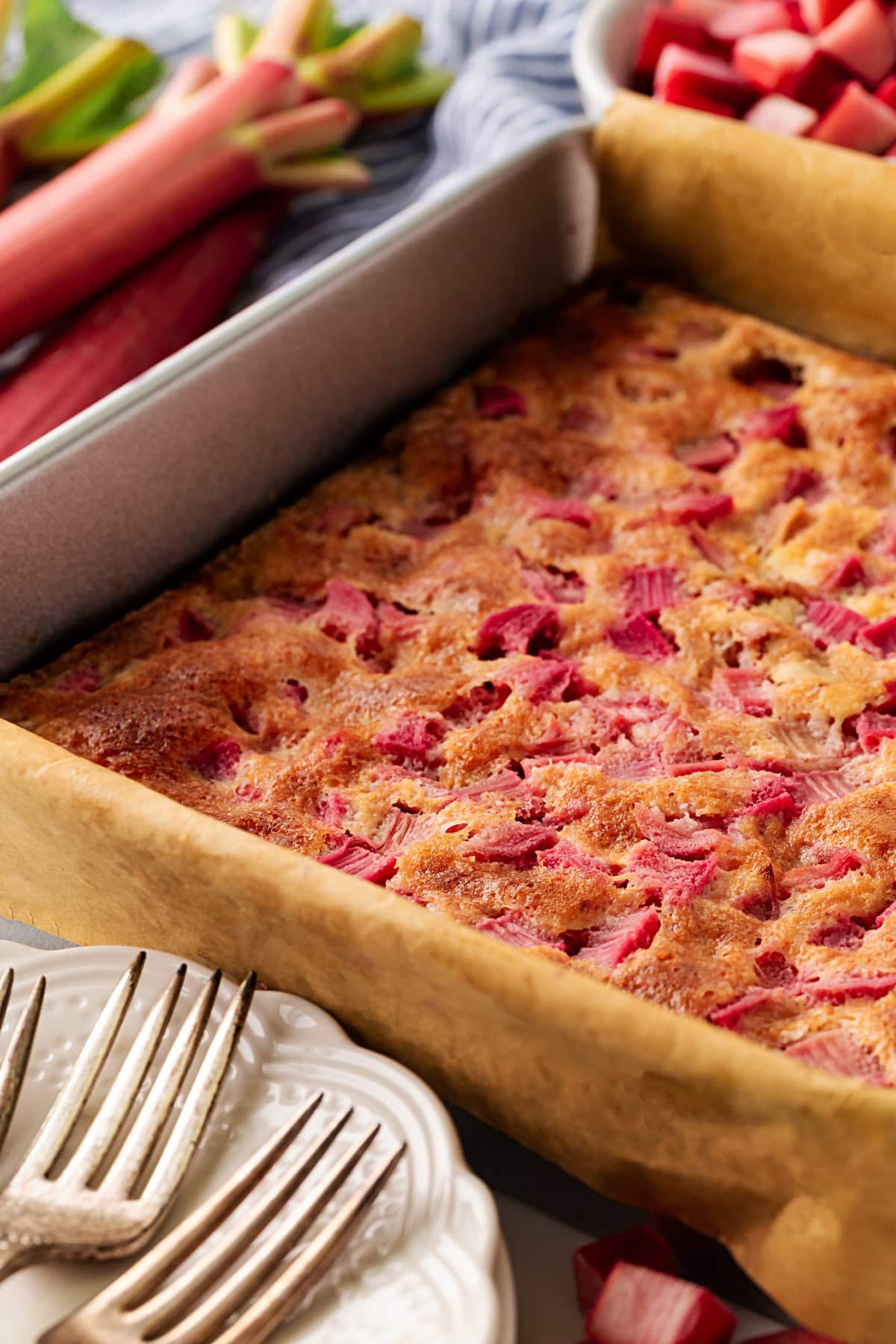 Rhubarb Dream Bars are the perfect rhubarb lover's treat! They are rich and gooey, tart and sweet and make for an exquisite dessert with little effort. Baked dream bars.