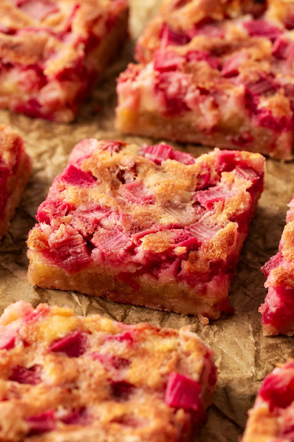 Rhubarb Dream Bars are the perfect rhubarb lover's treat! They are rich and gooey, tart and sweet and make for an exquisite dessert with little effort. Close-up of Rhubarb Dream Bars.