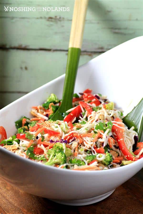 Asian Noodle Summertime Salad by Noshing With The Nolands (2) (Custom)