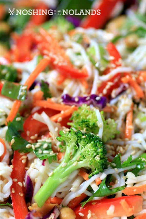 Asian Noodle Summertime Salad by Noshing With The Nolands (3) (Custom)