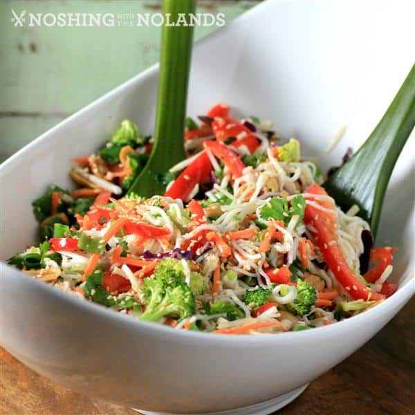 Asian Noodle Summertime Salad by Noshing With The Nolands (square) (Custom)